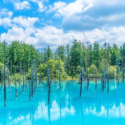 日本北海道8日7晚私家团 日本北海道8日7晚私家团