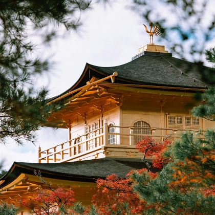 日本大阪+京都4日3晚自由行 日本大阪+京都4日3晚自由行