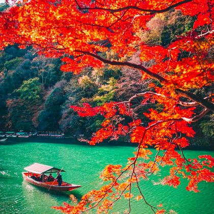 日本大阪+京都+箱根+东京6日5晚跟团游 日本大阪+京都+箱根+东京6日5晚跟团游