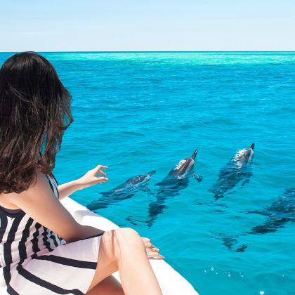 斐济+玛塔玛奴阿岛(matamanoa)8日5晚跟团游 斐济+玛塔玛奴阿岛(matamanoa)8日5晚跟团游