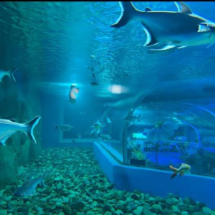 中国江苏淮安淮安西游乐园2日1晚自由行 中国江苏淮安淮安西游乐园2日1晚自由行