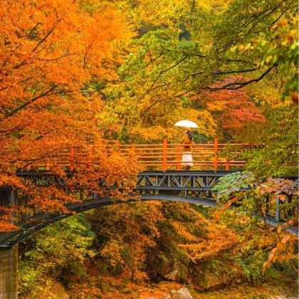 陕西汉中+四川光雾山旅游景区+情人谷+狮子沟牧场+昭化古城+剑门关5日4晚拼小团 陕西汉中+四川光雾山旅游景区+情人谷+狮子沟牧场+昭化古城+剑门关5日4晚拼小团
