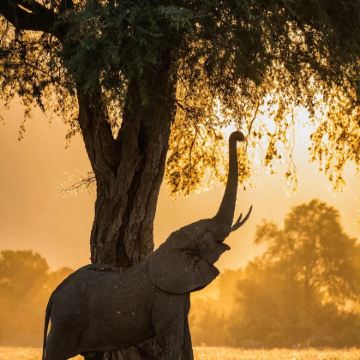 肯尼亚+摩洛哥+赞比亚15日14晚私家团 肯尼亚+摩洛哥+赞比亚15日14晚私家团