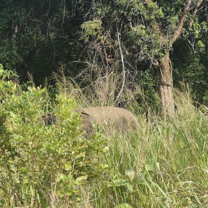 斯里兰卡6日5晚跟团游 斯里兰卡6日5晚跟团游