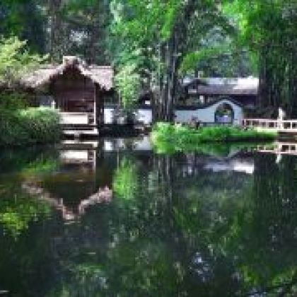 四川成都杜甫草堂+成都大熊猫繁育研究基地+自贡·中华彩灯大世界4日3晚私家团