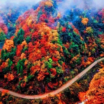 汉中+黎坪森林公园+光雾山旅游景区+黑熊沟+十八月潭景区4日3晚跟团游 汉中+黎坪森林公园+光雾山旅游景区+黑熊沟+十八月潭景区4日3晚跟团游