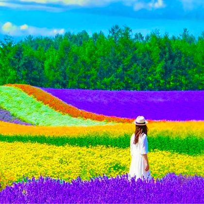 日本北海道札幌+阿寒湖+知床五湖+双美瀑布+网走+银河流星瀑布+大雪山层云峡、黑岳缆车+富田农场+青池+小樽运河+白色恋人公园7日6晚私家团 日本北海道札幌+阿寒湖+知床五湖+双美瀑布+网走+银河流星瀑布+大雪山层云峡、黑岳缆车+富田农场+青池+小樽运河+白色恋人公园7日6晚私家团