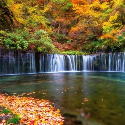 东京+日光市+轻井泽町6日5晚私家团 东京+日光市+轻井泽町6日5晚私家团