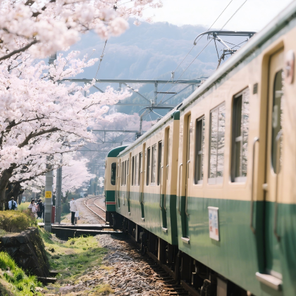 日本大阪+京都+奈良+宇治市7日6晚私家团 日本大阪+京都+奈良+宇治市7日6晚私家团