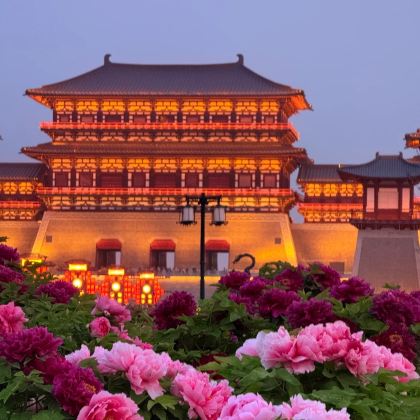 河南郑州+洛阳+开封+云台山风景名胜区5日4晚私家团 河南郑州+洛阳+开封+云台山风景名胜区5日4晚私家团