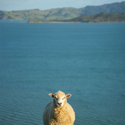 新西兰奥克兰大区+陶波+基督城+皇后镇13日12晚私家团 新西兰奥克兰大区+陶波+基督城+皇后镇13日12晚私家团