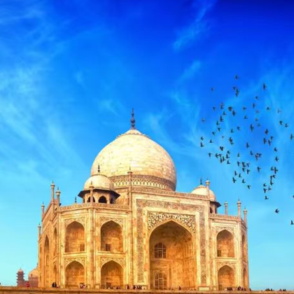 印度10日8晚跟团游 印度10日8晚跟团游