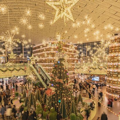 韩国首尔+釜山5日4晚私家团 韩国首尔+釜山5日4晚私家团