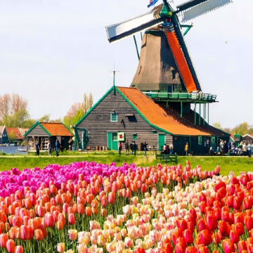 荷兰+土耳其11日10晚私家团 荷兰+土耳其11日10晚私家团