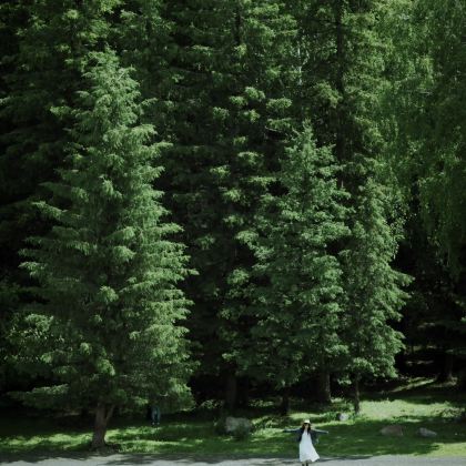 新疆乌鲁木齐+天山天池+可可托海风景区3日2晚私家团 新疆乌鲁木齐+天山天池+可可托海风景区3日2晚私家团