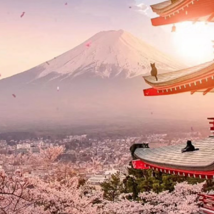 日本东京+富士山+奈良+京都+神户+大阪6日拼小团 日本东京+富士山+奈良+京都+神户+大阪6日拼小团