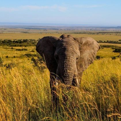 肯尼亚10日9晚私家团 肯尼亚10日9晚私家团