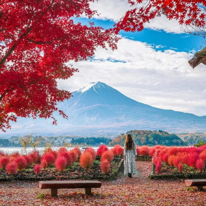 日本东京+富士山+京都+奈良+大阪9日8晚私家团 日本东京+富士山+京都+奈良+大阪9日8晚私家团