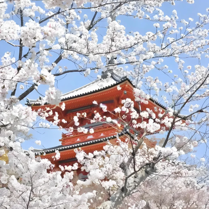 日本大阪+京都+奈良市+东京+富士山6日5晚跟团游 日本大阪+京都+奈良市+东京+富士山6日5晚跟团游