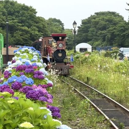 韩国济州岛3日2晚自由行 韩国济州岛3日2晚自由行