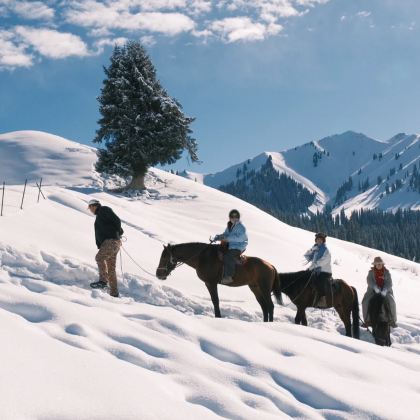 新疆乌鲁木齐+伊犁8日7晚跟团游 新疆乌鲁木齐+伊犁8日7晚跟团游