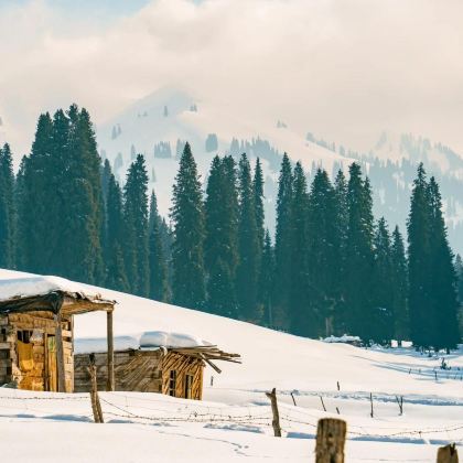新疆北疆+伊犁+赛里木湖+那拉提旅游风景区8日7晚私家团 新疆北疆+伊犁+赛里木湖+那拉提旅游风景区8日7晚私家团