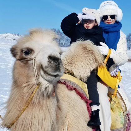 承德+避暑山庄+木兰围场+乌兰布统+塞罕坝4日3晚自由行 承德+避暑山庄+木兰围场+乌兰布统+塞罕坝4日3晚自由行