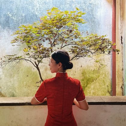 上海+苏州+乌镇+杭州5日4晚跟团游 上海+苏州+乌镇+杭州5日4晚跟团游