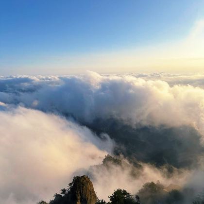 洛阳+龙门石窟+老君山景区5日4晚私家团 洛阳+龙门石窟+老君山景区5日4晚私家团