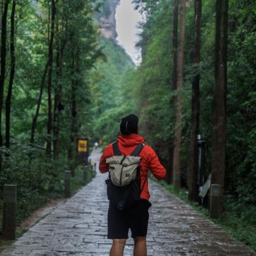 剑门关+剑门蜀道+翠云廊+千佛崖+皇泽寺+金牛道拦马墙5日4晚跟团游 剑门关+剑门蜀道+翠云廊+千佛崖+皇泽寺+金牛道拦马墙5日4晚跟团游