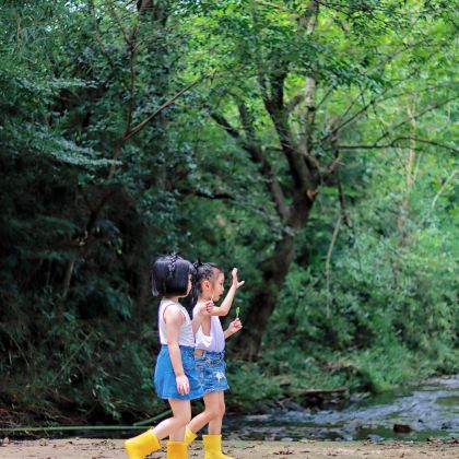 张家界国家森林公园+天门山+芙蓉镇+凤凰古城5日4晚私家团 张家界国家森林公园+天门山+芙蓉镇+凤凰古城5日4晚私家团
