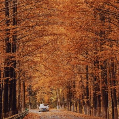 西安+宝鸡+汉中5日4晚私家团 西安+宝鸡+汉中5日4晚私家团