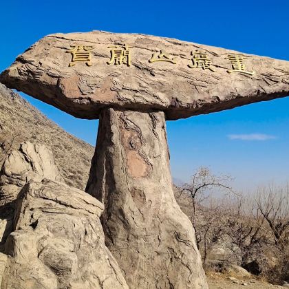 银川+中卫+固原7日6晚拼小团 银川+中卫+固原7日6晚拼小团