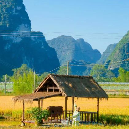 亲近自然•崇左秘境5天4夜亲子营【寒假早鸟售〓全程跟拍摄影vlog】3大IP:伏那秘境雨林徒步+德天瀑布+三娘湾追粉色海豚〓全程5钻酒店+亲子互动体验+钦州赶海+瓜果采摘+酸野制作+寻觅白头叶猴丨体验崇左边境生活 亲近自然•崇左秘境5天4夜亲子营【寒假早鸟售〓全程跟拍摄影vlog】3大IP:伏那秘境雨林徒步+德天瀑布+三娘湾追粉色海豚〓全程5钻酒店+亲子互动体验+钦州赶海+瓜果采摘+酸野制作+寻觅白头叶猴丨体验崇左边境生活