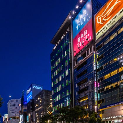大阪+京都+奈良+富士山+东京12日私家团 大阪+京都+奈良+富士山+东京12日私家团