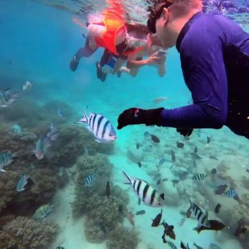 胡志明市+美奈+芽庄+河内+下龙湾8日7晚跟团游 胡志明市+美奈+芽庄+河内+下龙湾8日7晚跟团游