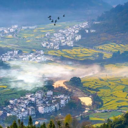 江西南昌+景德镇+婺女洲度假区+婺源篁岭景区+望仙谷5日4晚私家团 江西南昌+景德镇+婺女洲度假区+婺源篁岭景区+望仙谷5日4晚私家团