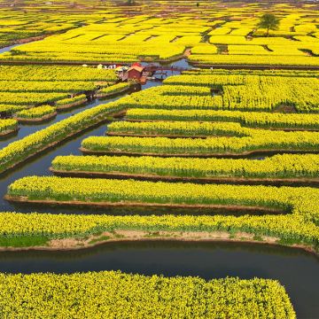 扬州+泰州3日2晚跟团游 扬州+泰州3日2晚跟团游