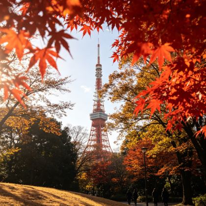 日本东京+京都+大阪7日6晚私家团 日本东京+京都+大阪7日6晚私家团