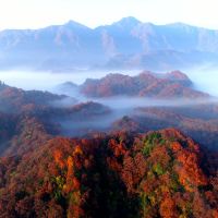 成都+剑门关+阆中古城+巴中+光雾山+米仓山国家森林公园+十八月潭景区6日5晚私家团 成都+剑门关+阆中古城+巴中+光雾山+米仓山国家森林公园+十八月潭景区6日5晚私家团