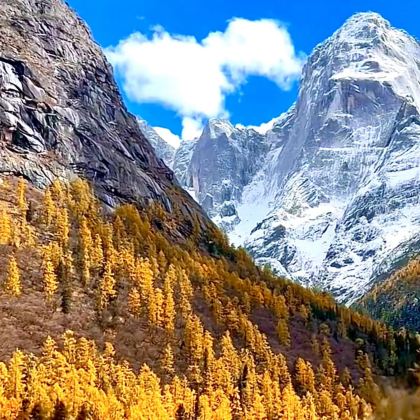 四姑娘山+中国贡嘎山海螺沟+墨石公园景区+康定情歌风景区+鱼子西4日3晚拼小团 四姑娘山+中国贡嘎山海螺沟+墨石公园景区+康定情歌风景区+鱼子西4日3晚拼小团