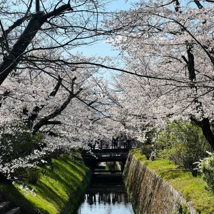日本东京+轻井泽町+富士山+京都+大阪+日本环球影城17日16晚自由行 日本东京+轻井泽町+富士山+京都+大阪+日本环球影城17日16晚自由行