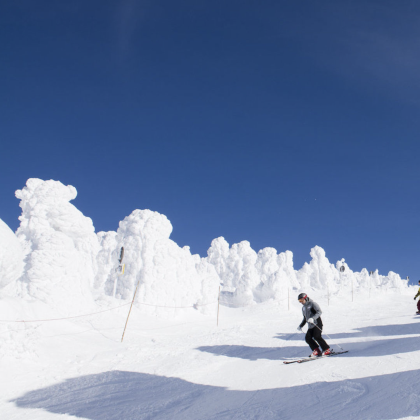日本东京+仙台+山形6日5晚私家团 日本东京+仙台+山形6日5晚私家团
