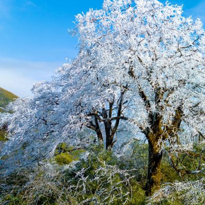桂林猫儿山+湖南崀山4日3晚跟团游 桂林猫儿山+湖南崀山4日3晚跟团游
