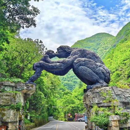 宜昌+神农架4日3晚私家团 宜昌+神农架4日3晚私家团