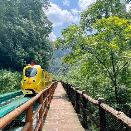 张家界+天门山+凤凰5日4晚跟团游 张家界+天门山+凤凰5日4晚跟团游