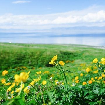 新疆北疆+乌鲁木齐+喀纳斯景区+禾木风景区+赛里木湖+那拉提9日8晚私家团 新疆北疆+乌鲁木齐+喀纳斯景区+禾木风景区+赛里木湖+那拉提9日8晚私家团