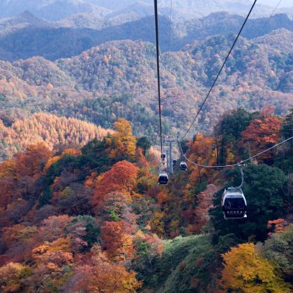 南充+阆中古城+巴中+光雾山旅游景区+米仓山国家森林公园+白衣古镇4日3晚私家团 南充+阆中古城+巴中+光雾山旅游景区+米仓山国家森林公园+白衣古镇4日3晚私家团