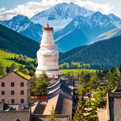 山西太原+五台山+大同+平遥古城+黄河壶口瀑布旅游区6日5晚跟团游 山西太原+五台山+大同+平遥古城+黄河壶口瀑布旅游区6日5晚跟团游