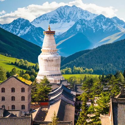 山西五台山2日1晚跟团游 山西五台山2日1晚跟团游